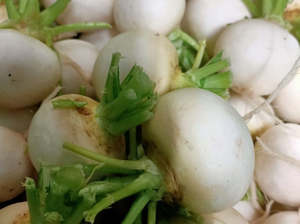 Fruit Veg: Streamside Organic Salad Turnips - Bunch