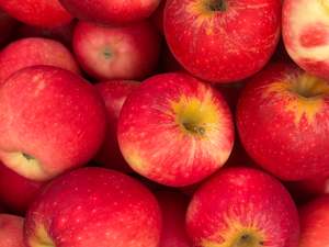 Hastings Organic Apples - Prima Rosa