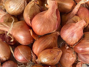 Fruit Veg: Peter's Local Organic Shallots