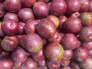 Te Mata Organic Plums - Omega