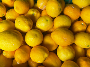 Local Spray-Free Meyer Lemons