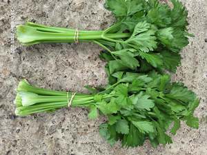 Live2Give Farm Organic Celery Stalks - Bunched