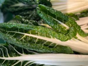 Streamside Organic Silverbeet