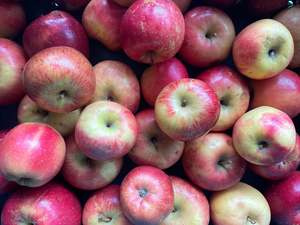 Fruit Veg: NZ Organic Cooking Apples - Mixed Varieties 1 kg