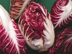 Crooked Vege Organic Radicchio