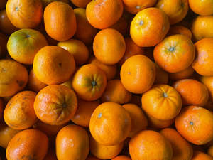 Gisborne Organic Mandarins - Satsuma