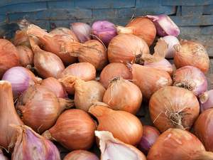 Streamside Organic Shallots - Large