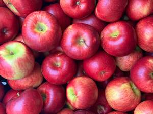Te Mata Orchards Organic Apples - Ora