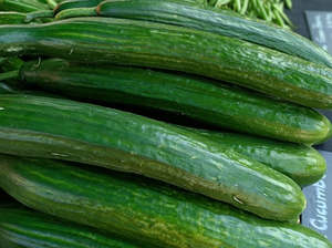 Peter's Organic Telegraph Cucumber - Each