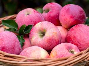 Fruit Veg: Te Mata Organic Apples - Pink Lady