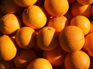 Fruit Veg: Tauranga Spray Free (not organic) Oranges - Navel