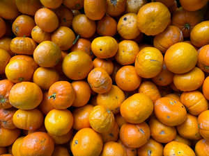 Palmy Organic Mandarins - Encore