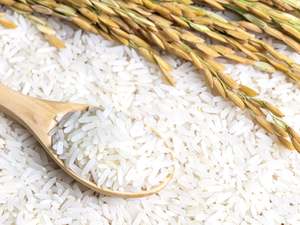 Organic White Jasmine Rice