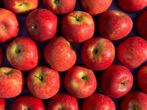 Te Mata Organic Apples - Fuji