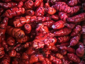 Streamside Organics' Organic Yams
