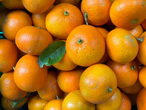 Palmy Organic Grapefruit