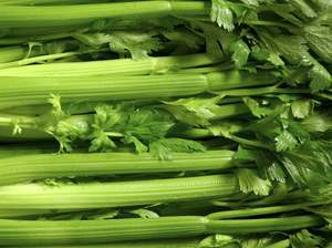 Masterton Organic Celery Bunch JUICING 2 BUNCH SPECIAL