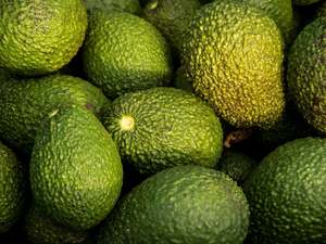 Ongare Point Organic Avos - MED NEW SEASON