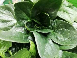 Fruit Veg: New Zealand Organic Spinach