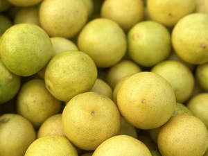 Local Organic Tahitian Limes