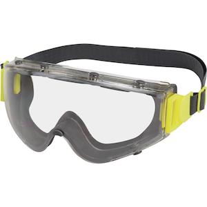 Safety Goggle: DELTAPLUS SAJAMA Clear Goggles