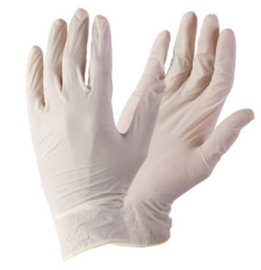 Latex Gloves (Powder Free)