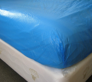Bedding: Mattress Protector Fitted Single Sheet (Blue Plastic)