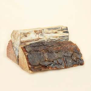 Douglas-Fir: Douglas-Fir 2m³ & Split Pine 2m³ (Suitable for burning 2026)