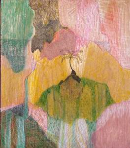 All: Wheki Ponga landscape