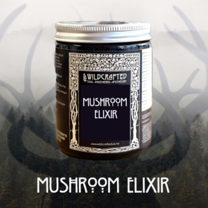Products: Mushroom Elixir Wildcrafted Apothecary + Emporium