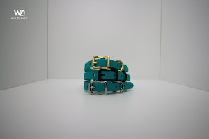 1 2 Collars: Teal 1/2" Collar