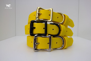 Yellow 1" Collar