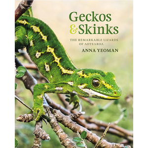 Products: Geckos & Skinks