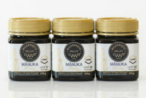 Gift Set: The Discovery Trio