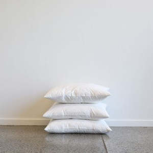 Cushion Inner