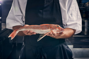 CHRISTMAS PRE-ORDER: Tarakihi & Gurnard (Delivery 20 December)