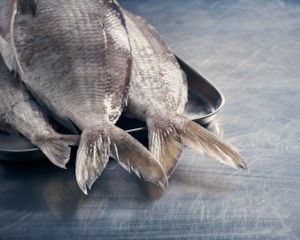 Freshfish: CHRISTMAS PRE-ORDER: Tarakihi & Snapper (Delivery 20 December)