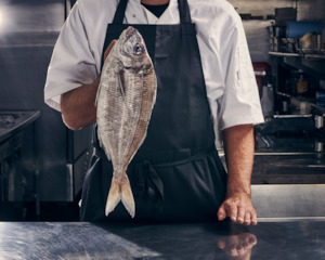 CHRISTMAS PRE-ORDER: Tarakihi fillets (Delivery 20 December)