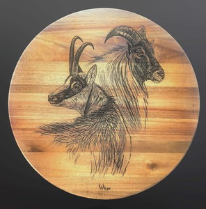Products: Lazy Susan Alpine Double – Wild Gear NZ