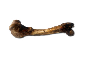 Frontpage: Whole Air-Dried Wild Venison Cannon Bones
