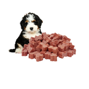 Frontpage: Puppy Food - 5Kg Wild Venison Medallions Bundle. Shipping included.
