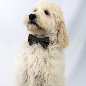 All Dog Bowties: Twilight Timber Bow Tie