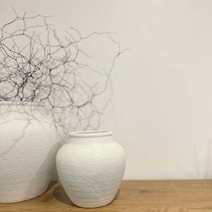 Botanic Bar: Muehlenbeckia astonii twigs