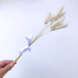 Botanic Bar: Bunny Tails - Bleached