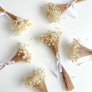 Botanic Bar: Star Flowers - neutral