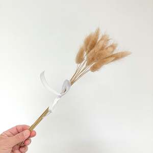 Botanic Bar: Bunny Tails - Natural