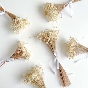 Botanic Bar: Star Flowers - neutral