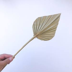 Botanic Bar: Palm Spear - Natural