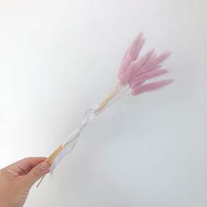 Botanic Bar: Bunny Tails - Lilac