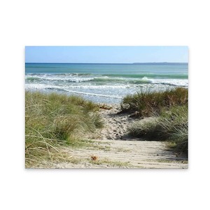 Products: Garden Patio Art Sandy Passage Wild On Walls Nz Made